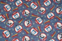 Thomas Pillowcase